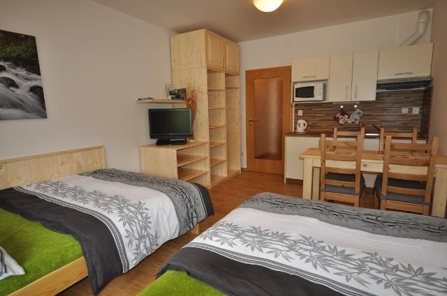 Studio Apartments Lipno 22, 24 Lipno nad Vltavou Room photo