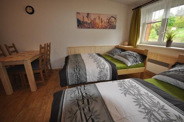 Studio Apartments Lipno 22, 24 Lipno nad Vltavou Room photo
