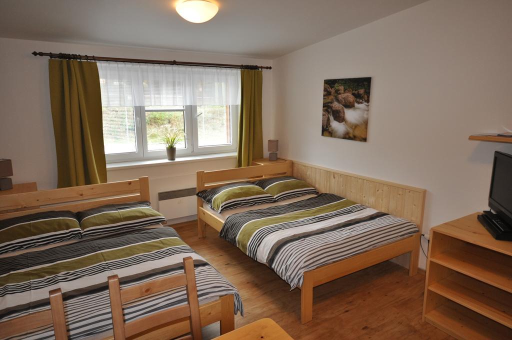 Studio Apartments Lipno 22, 24 Lipno nad Vltavou Room photo